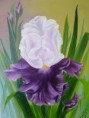 /album/oil-painting-bob-ross-technology-R-1/bob-ross-oil-painting-21-jpg1/